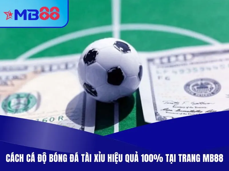 Cách cá độ bóng đá Tài Xỉu