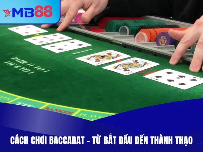 Cách chơi Baccarat