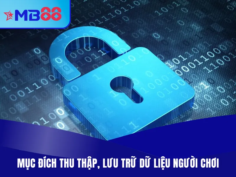 Chính Sách Bảo Mật MB88 Mới Nhất 2025 Cho Hội Viên Lý do thu thập dữ liệu - chính sách bảo mật MB88