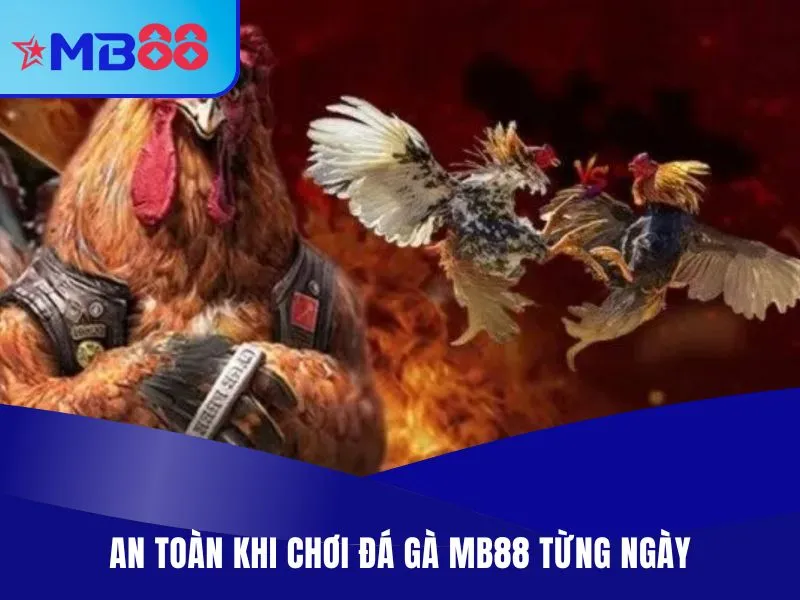 An toàn khi chơi đá gà MB88 từng ngày