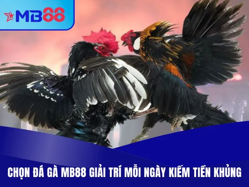 Chọn đá gà MB88 giải trí mỗi ngày kiếm tiền khủng