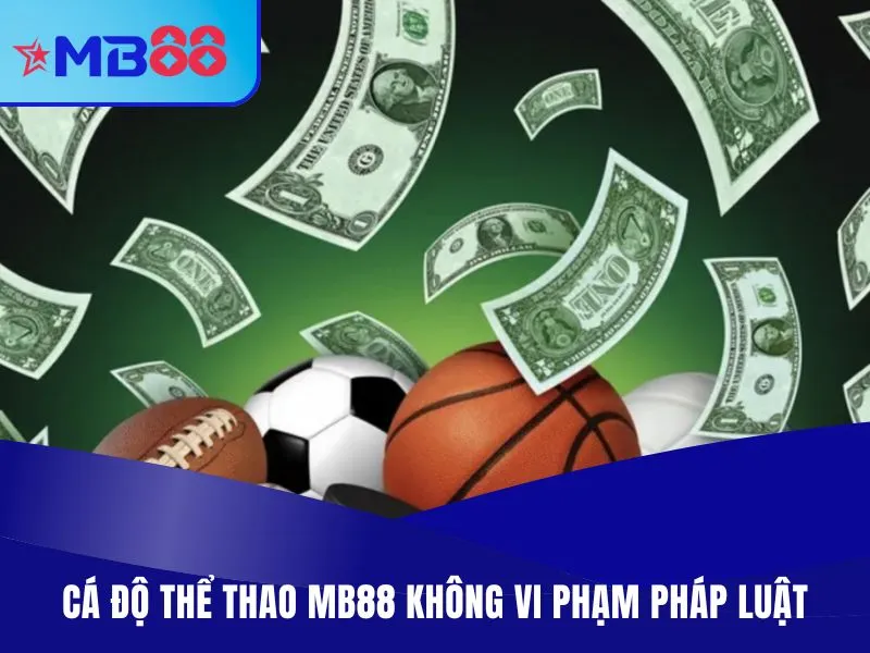 Thể Thao MB88 - Chọn Kèo Thơm, Cá Cược Giải Đấu Lớn 2025 Cá độ thể thao MB88 không vi phạm pháp luật